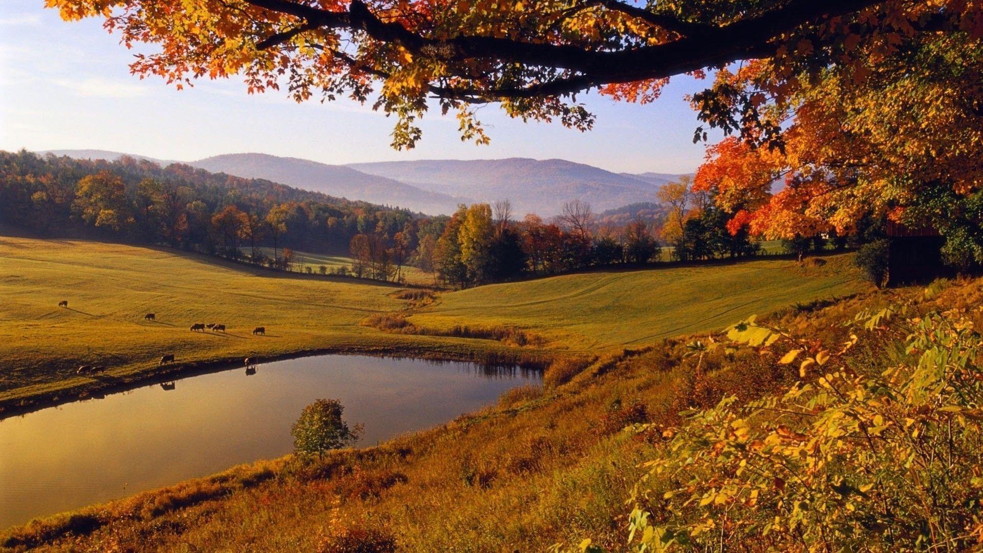 fond d écran paysage d automne gratuit