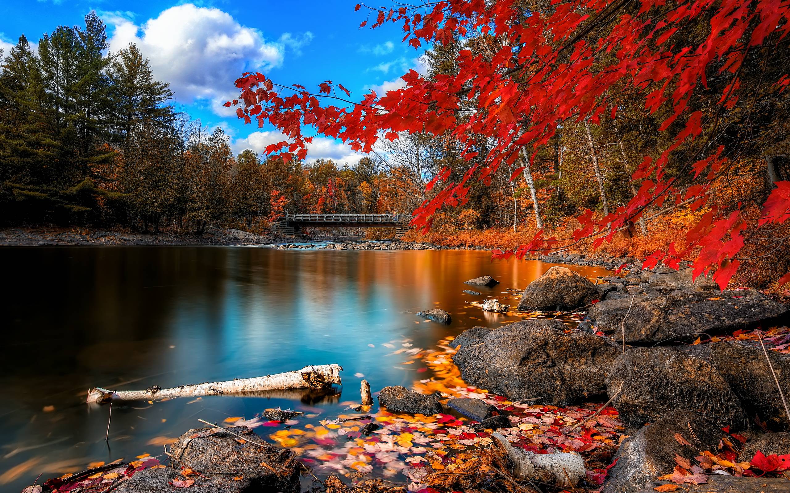 paysage automne fond d écran