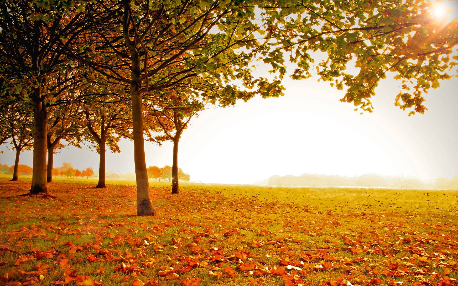 fond d écran paysage automne gratuit