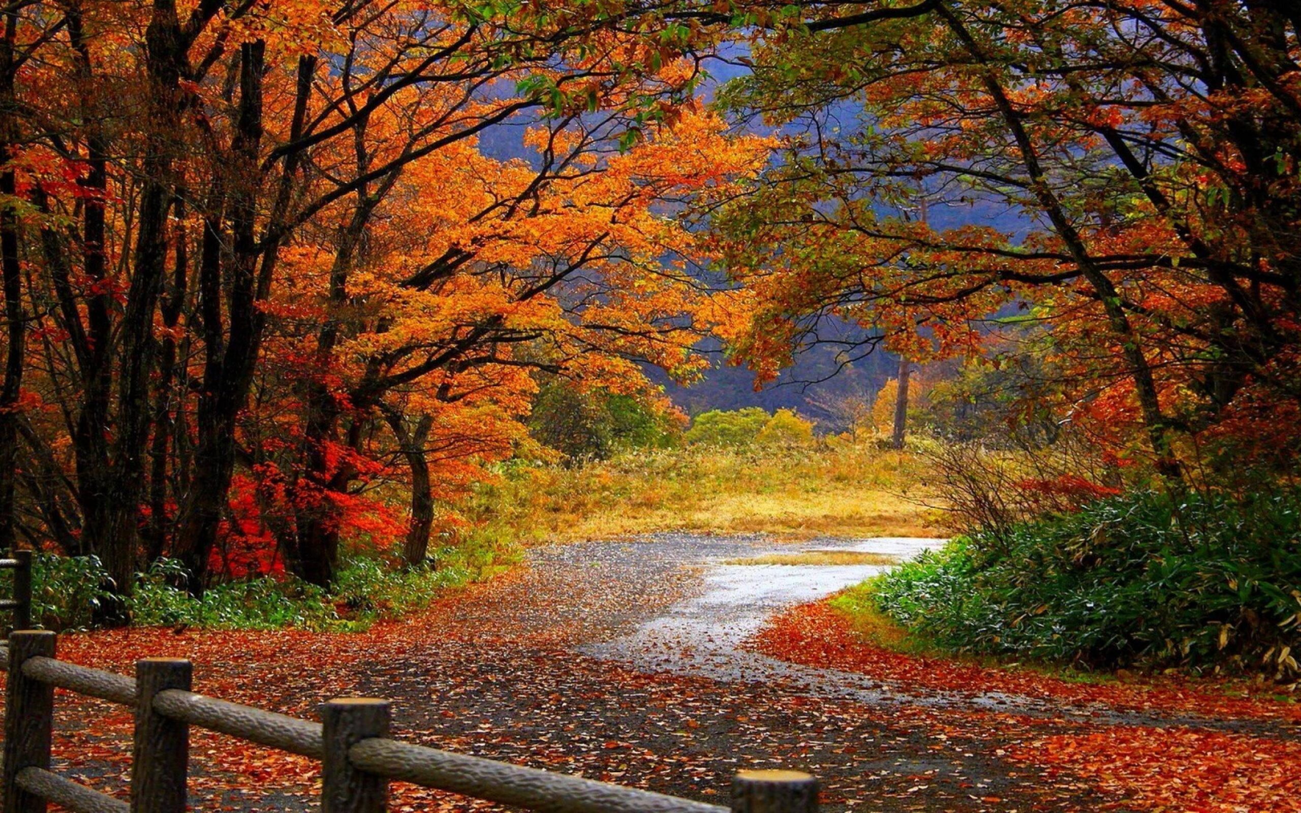 paysage d automne fond d écran