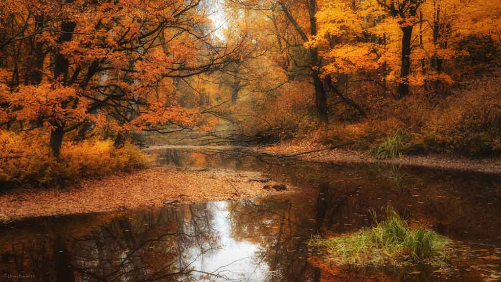 fond d écran paysage d automne gratuit