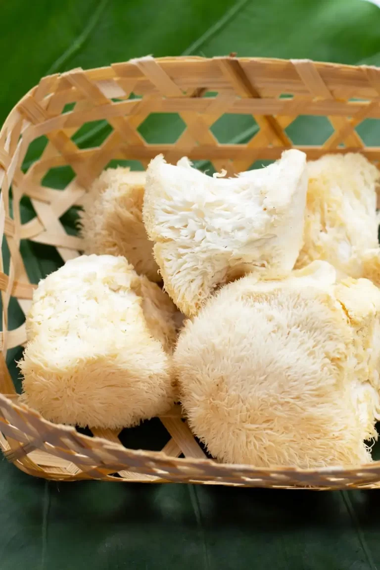 Lion’s Mane Mushroom Recipe