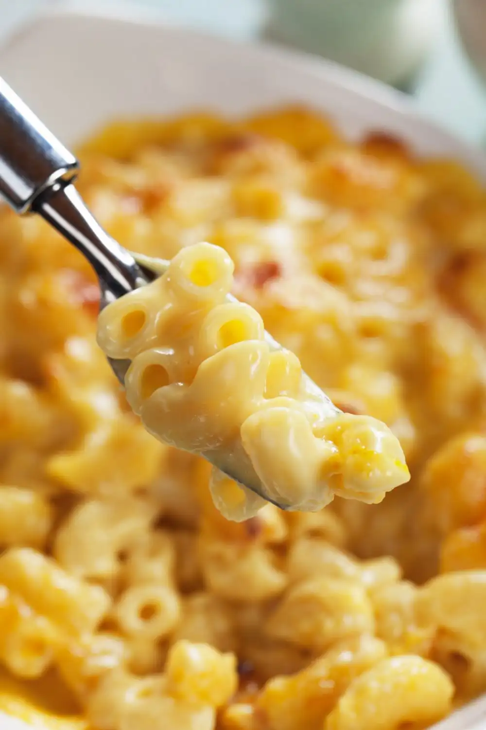 Creamy White Cheddar Mac and Cheese Recipe